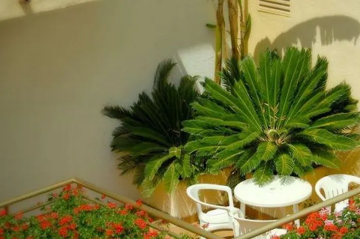 Merce 3* Пинеда-де-Мар